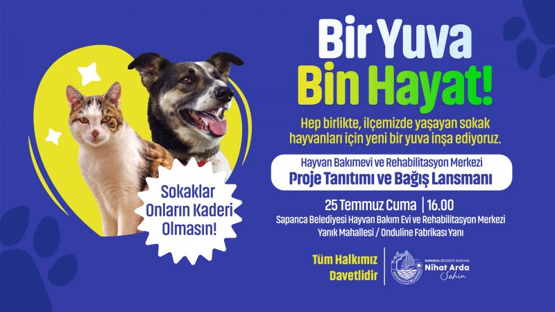 Sapanca Belediyesi’nden Sokak Hayvanlarına Umut Olacak Proje