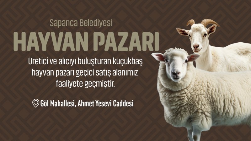 Sapanca’da Geleneksel Hayvan Pazarı Bu Yıl da Faaliyete Geçti